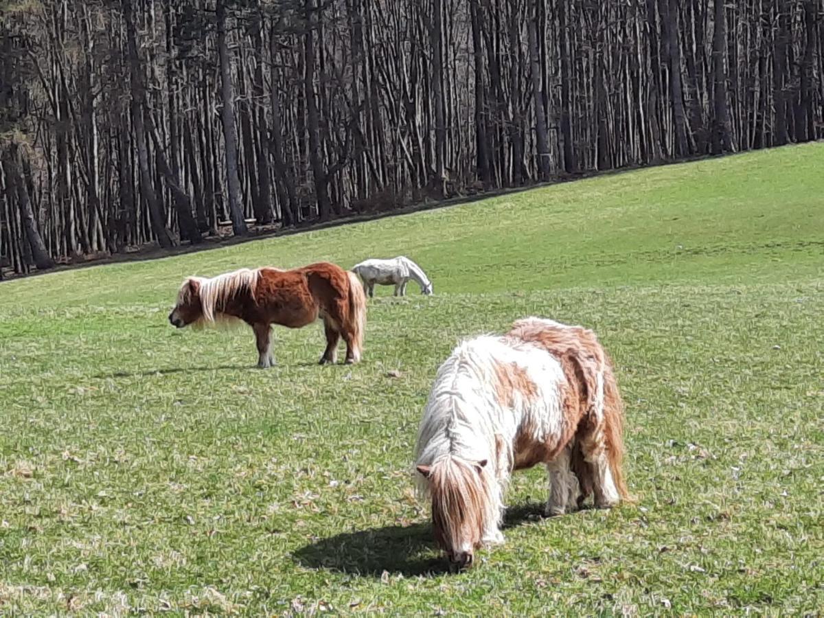 Erholungsheim Im Wienerwald Irenental Zewnętrze zdjęcie